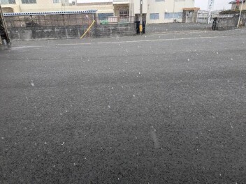 雪が降りました