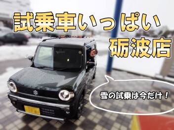 試乗車いっぱい砺波店！