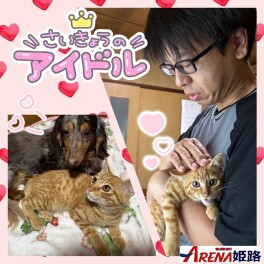 メカニック青木のシン・ニャーブログ