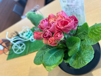 素敵なお花～！