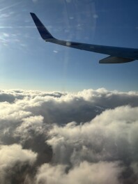 ２０２６年　初売り