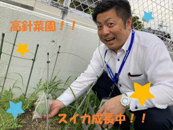 高針菜園のスイカ成長中！！