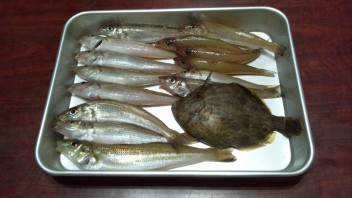 魚釣り