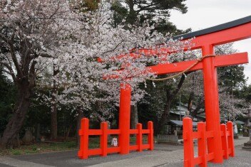 サービススタッフ増田の写真展！