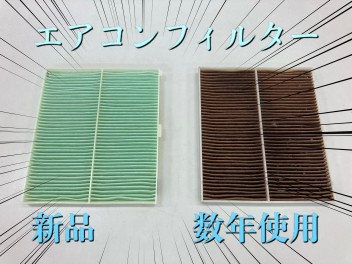 週末スズキの日！　閲覧注意