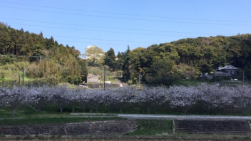 新年度も宜しくお願いします