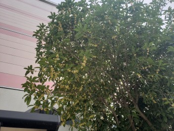 今日から１０月☆お車の税金にも動きがあります