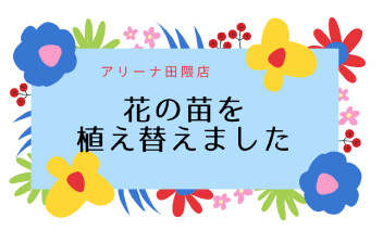 「ショールーム花壇　冬の花に植え替えました」アリーナ田隈店