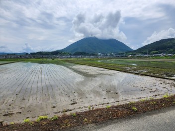 梅雨の晴れ間