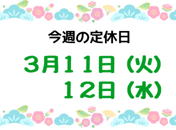 ※今週の定休日※
