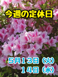 ※今週の定休日※