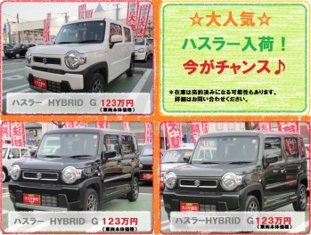 ~中古車情報～