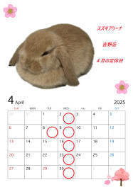 ４月の定休日案内