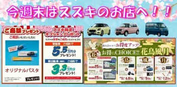 今週末はスズキのお店へ！