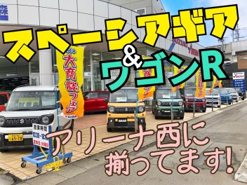 人気車種を準備しました！！