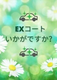 EXコートおススメです