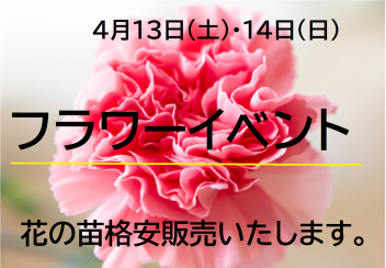 八女日記　「フラワーイベント！１３日・１４日」