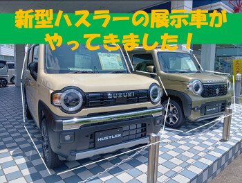 NEWハスラー見に来ませんか？？
