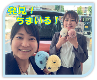 発見！ちまいる！！