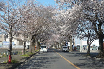 試乗コースご案内