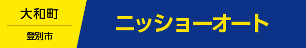 ニッショーオート