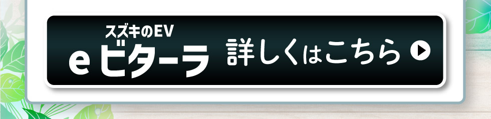 e ビターラ、詳しくはこちら