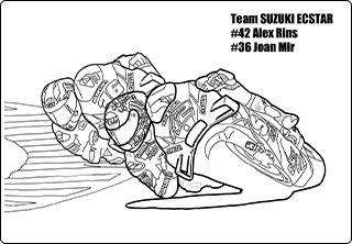 Team SUZUKI ECSTAR