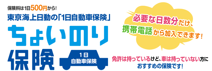 だけ 車 保険 日 一