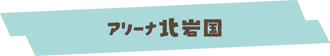 アリーナ北岩国