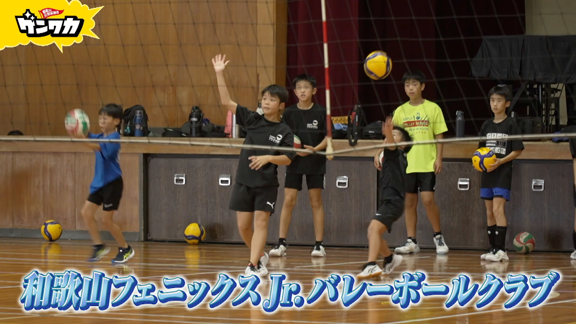 ゲンワカ　和歌山フェニックスJr.VBC編