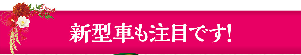 新型車も注目です！