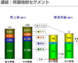 連結：事業地別セグメント