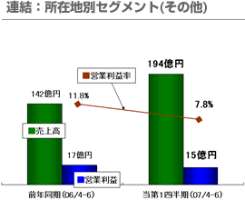 連結：所在地別セグメント(その他)