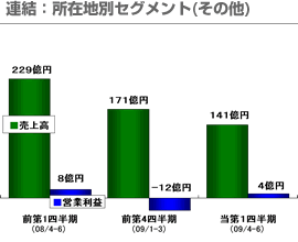 連結：所在地別セグメント(その他)