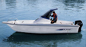 SEA JOY 21 HT(n[hgbv)