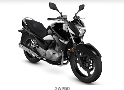 GW250 GW250