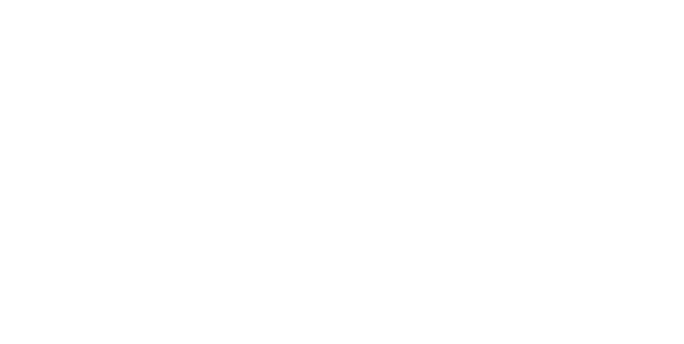 40th since1985 セニアカー